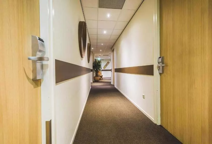 Fotos del hotel Queen:  5