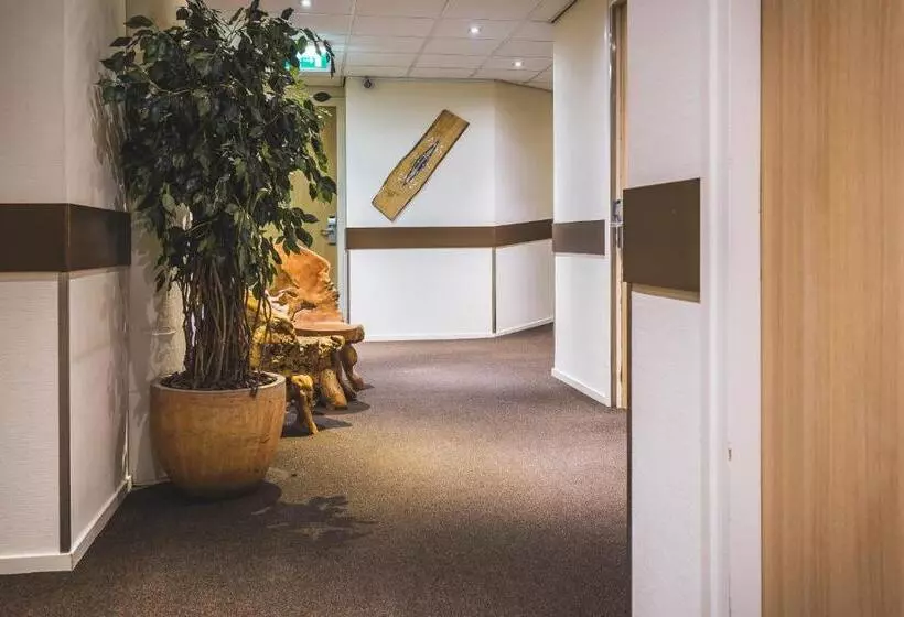 Fotos del hotel Queen:  2