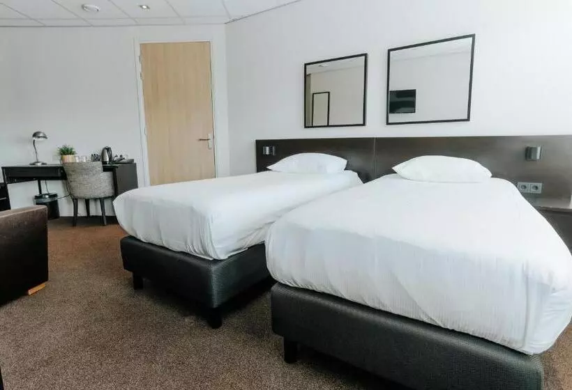 Fotos del hotel Queen:  16