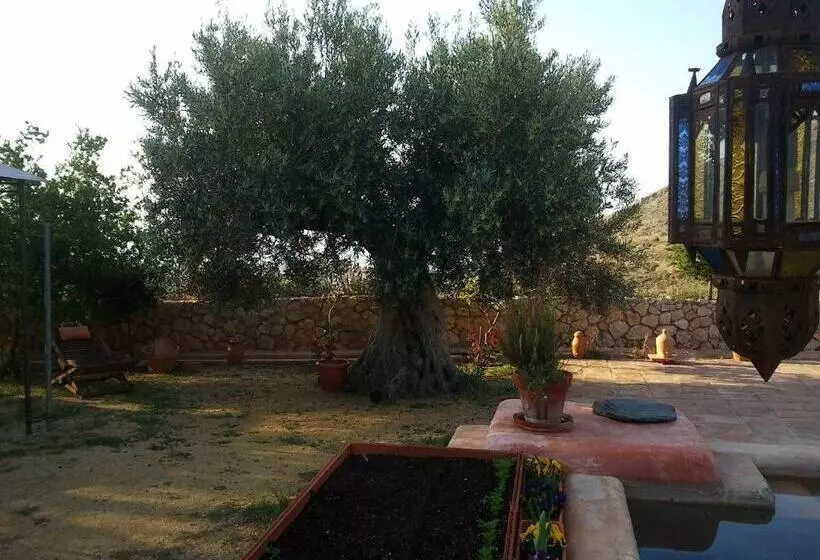Fotos del hotel Rural Cortijo La Alberca:  24
