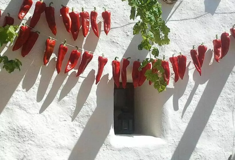 Fotos del hotel Rural Cortijo La Alberca:  25