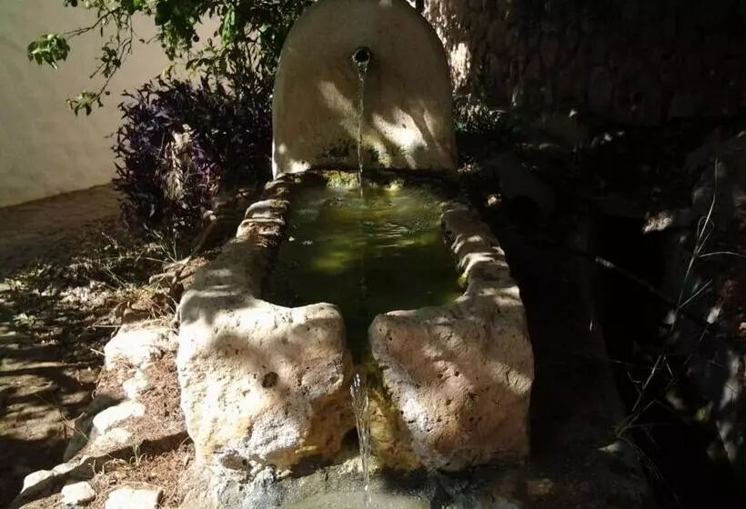 Fotos del hotel Rural Cortijo La Alberca:  17