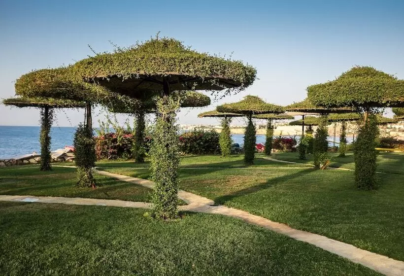 Fotos del hotel Siva Sharm Resort & Spa:  13