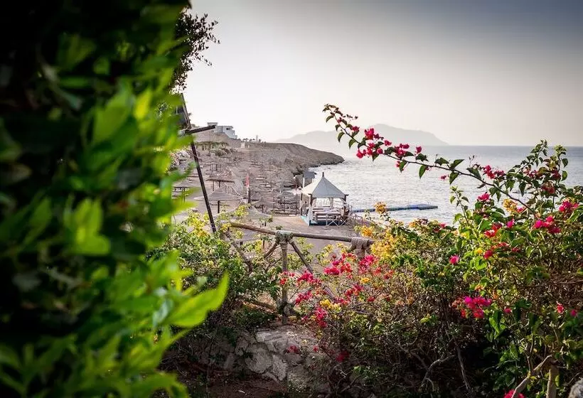 Fotos del hotel Siva Sharm Resort & Spa:  4