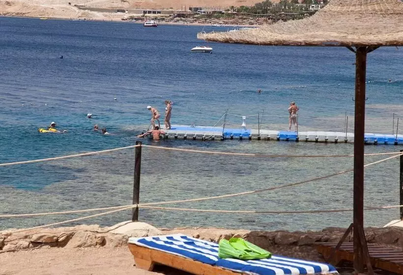 Fotos del hotel Siva Sharm Resort & Spa:  15