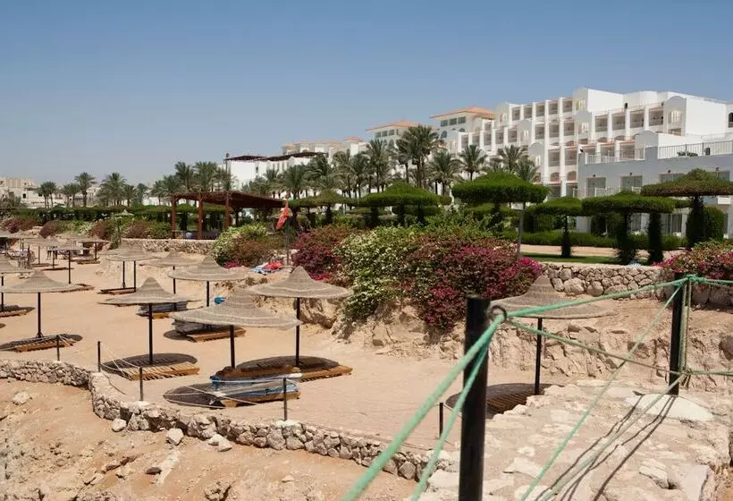 Siva Sharm Resort & Spa