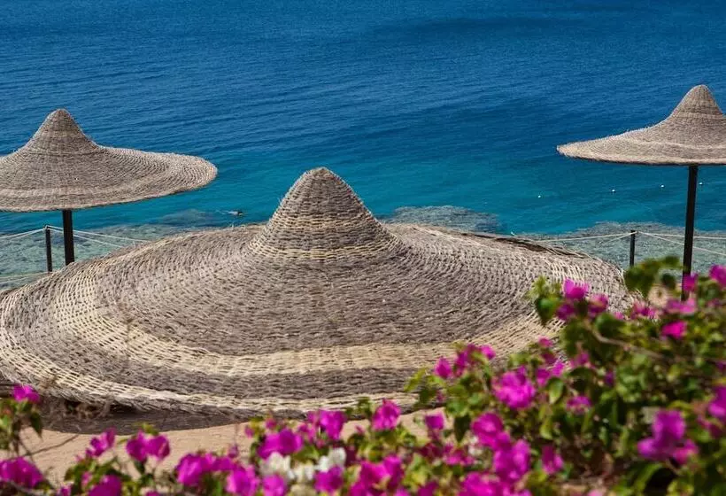 Fotos del hotel Siva Sharm Resort & Spa:  12