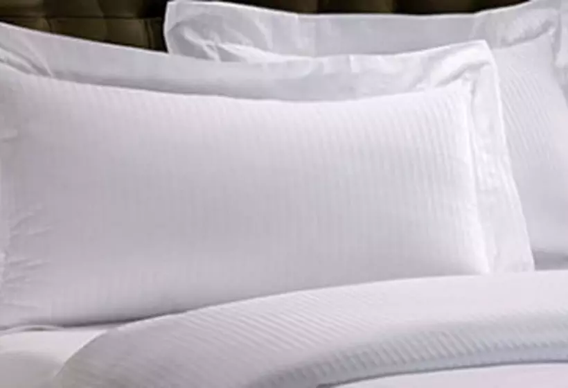 Fotos del hotel Axel  Berlin - Adults Only:  22