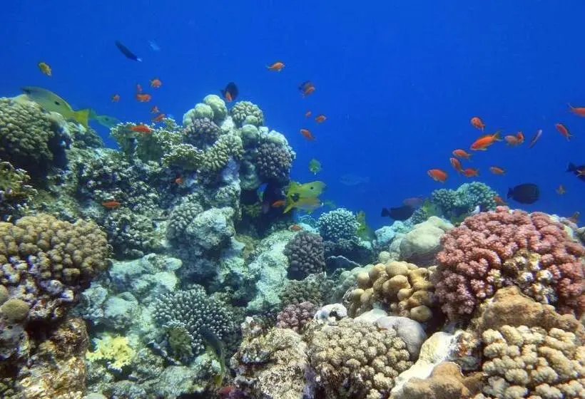 Fotos del hotel Ux Oriental Coast Marsa Alam:  25