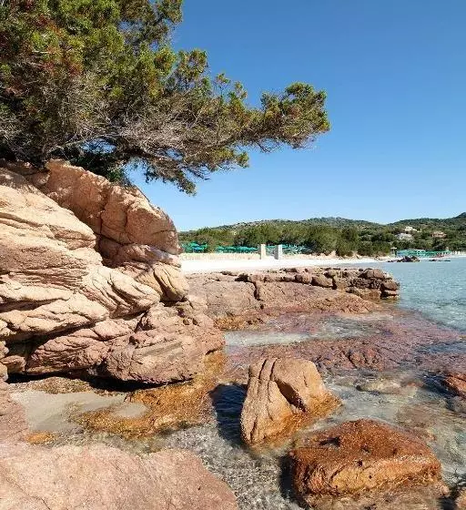 Fotos del hotel Park Hotel Porto Istana:  12