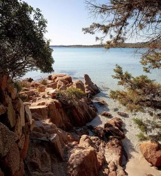 Fotos del hotel Park Hotel Porto Istana:  13