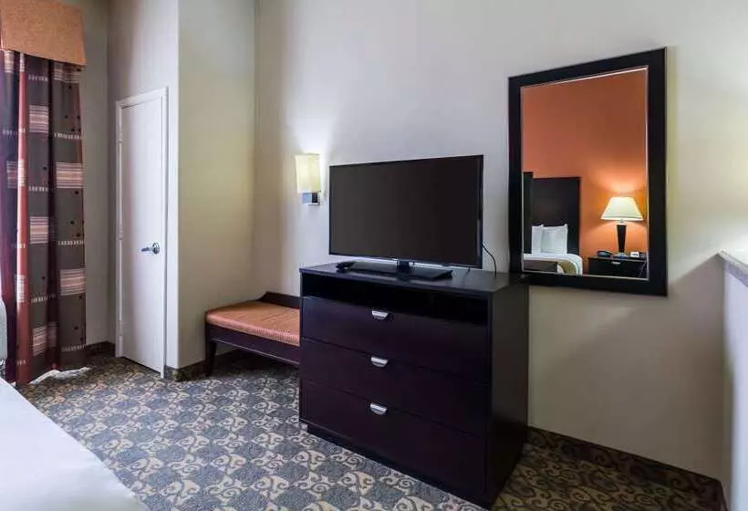 Fotos del hotel Comfort Suites Westchase Houston Energy Corridor:  20