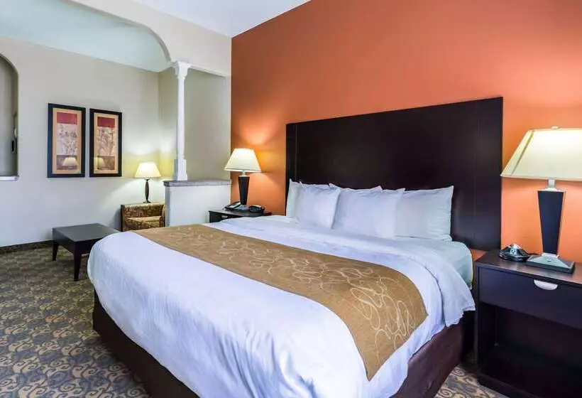 Fotos del hotel Comfort Suites Westchase Houston Energy Corridor:  22