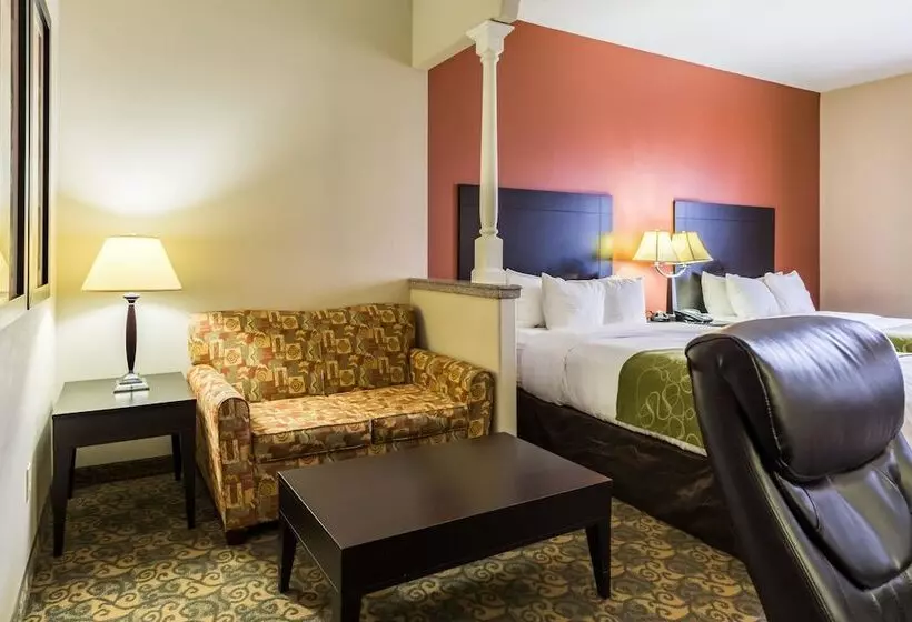 Fotos del hotel Comfort Suites Westchase Houston Energy Corridor:  7