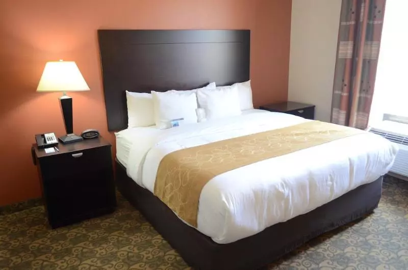 Fotos del hotel Comfort Suites Westchase Houston Energy Corridor:  13
