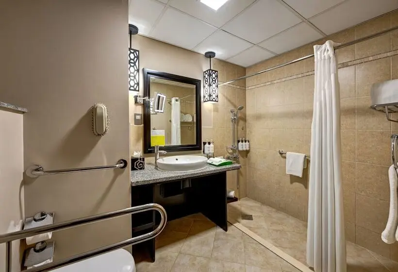 Fotos del hotel Holiday Inn Dubai  Al Barsha, An Ihg:  69