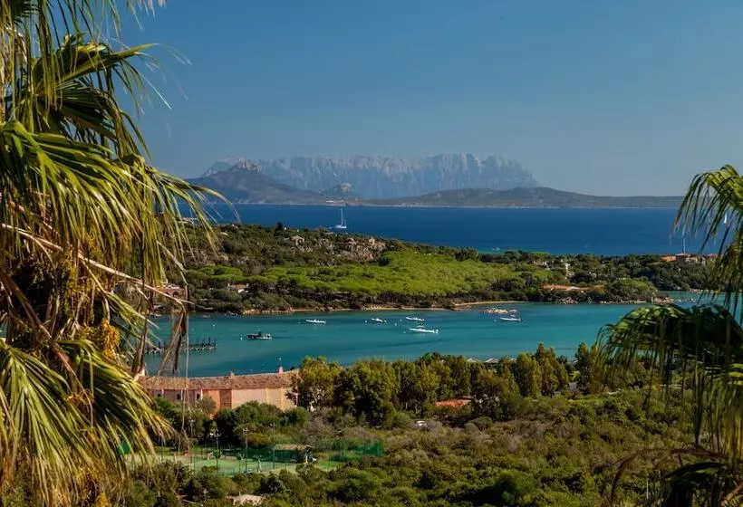 Fotos del hotel Petra Bianca:  17