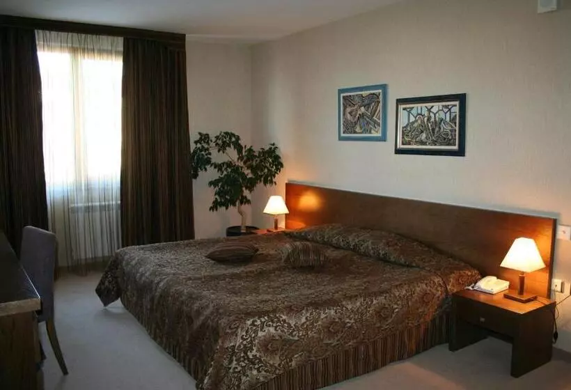 Fotos del hotel Evelina Palace Hotel:  23