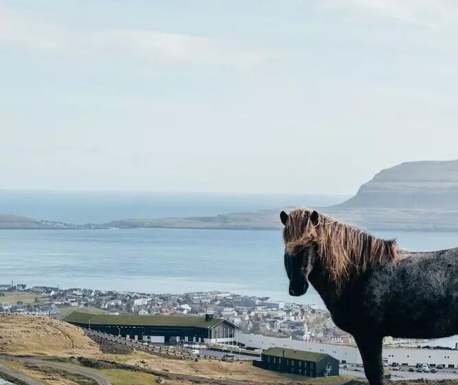 Fotos del hotel Føroyar:  8