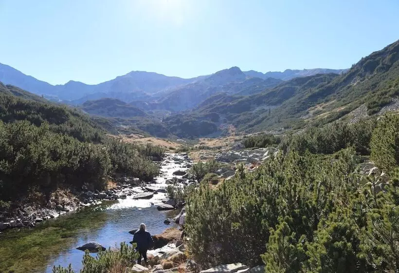 Fotos del hotel Kralev Dvor:  8