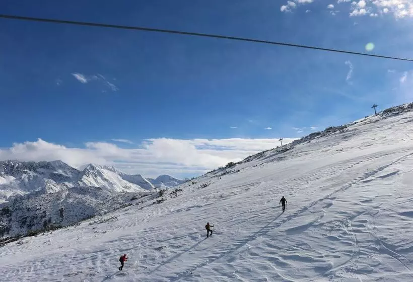 Fotos del hotel Kralev Dvor:  10