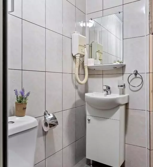 Fotos del hotel Charter Otopeni:  6