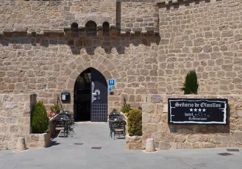 Fotos del hotel Señorio De Olmillos:  7