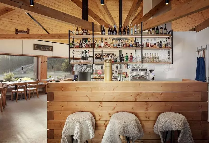 Fotos del hotel Bellevue:  8