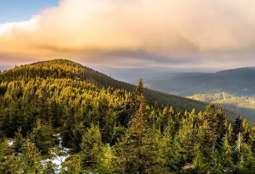 Fotos del hotel Bellevue:  5