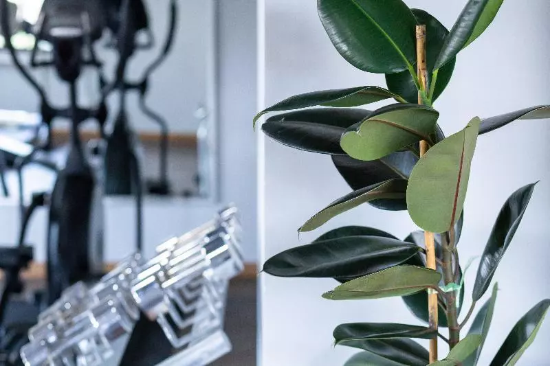 Fotos del hotel Jazzotel Bangkok Sha Extra Plus:  9