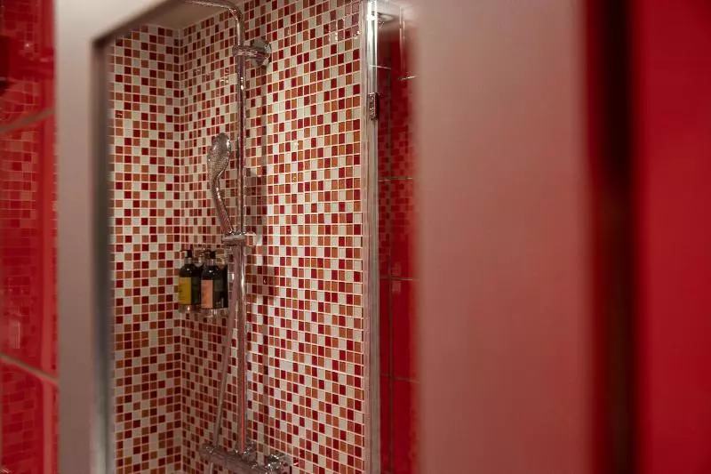 Fotos del hotel Hôtel Bassano:  4