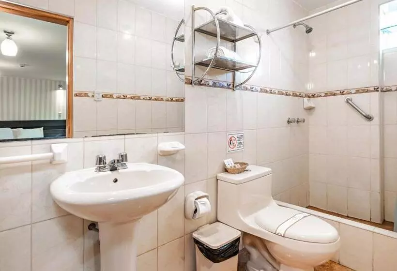 Fotos del hotel Miraflores Suites Centro:  2