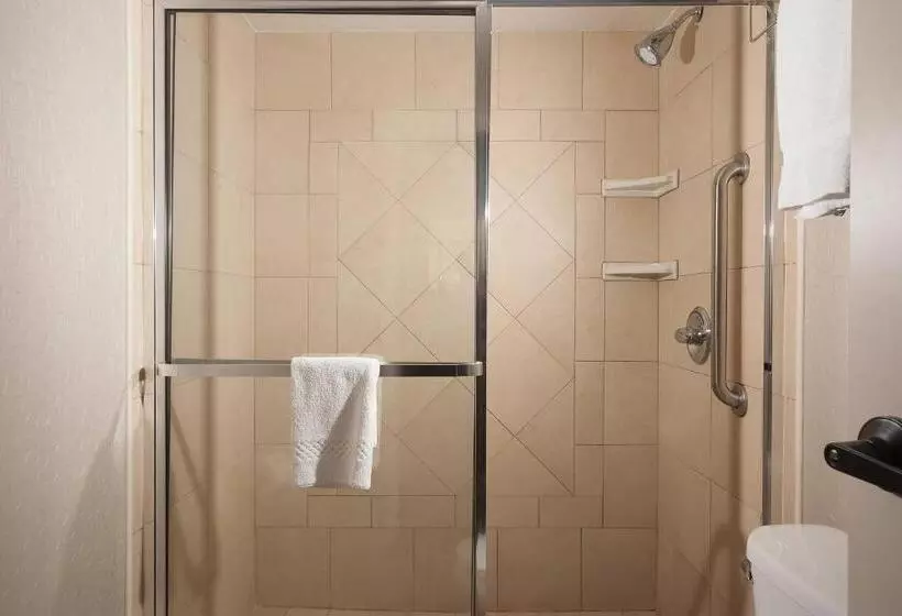 Fotos del hotel Springhill Suites Orlando Airport:  9