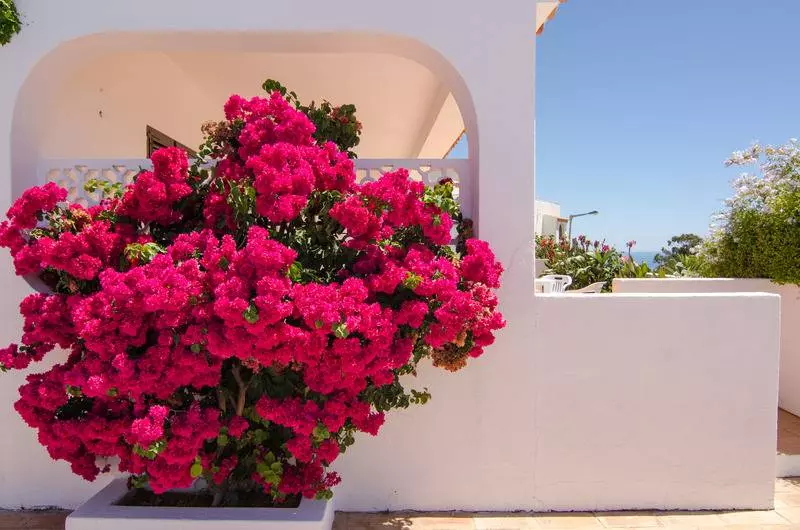 Fotos del hotel Varandas Do Atlantico By Portugalferias:  10