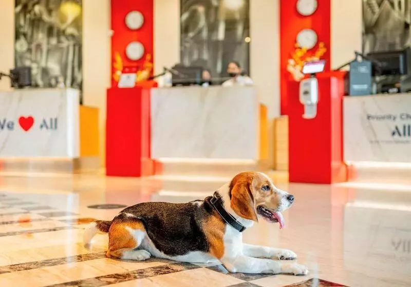 Fotos del hotel Ibis Gurgaon Golf Course Road  An Accor Brand:  12