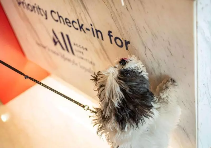 Fotos del hotel Ibis Gurgaon Golf Course Road  An Accor Brand:  18