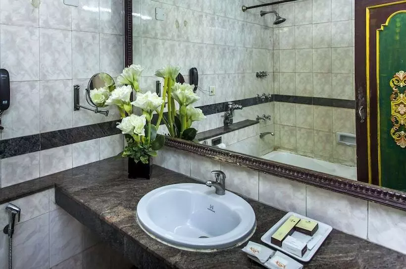 Fotos del hotel Sunstar Residency:  12