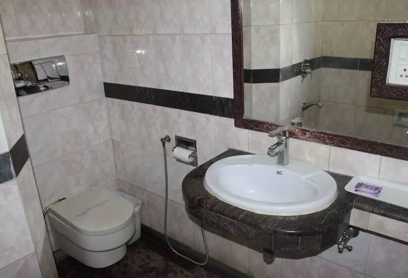 Fotos del hotel Sunstar Residency:  20