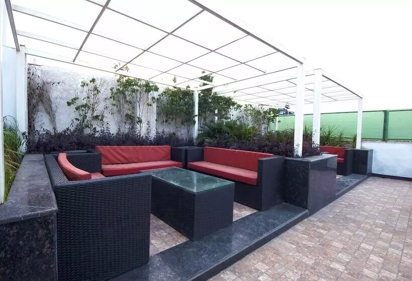 Fotos del hotel Le Roi:  16