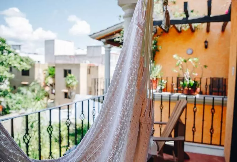 Fotos del hotel Lunata  5th Avenue:  13