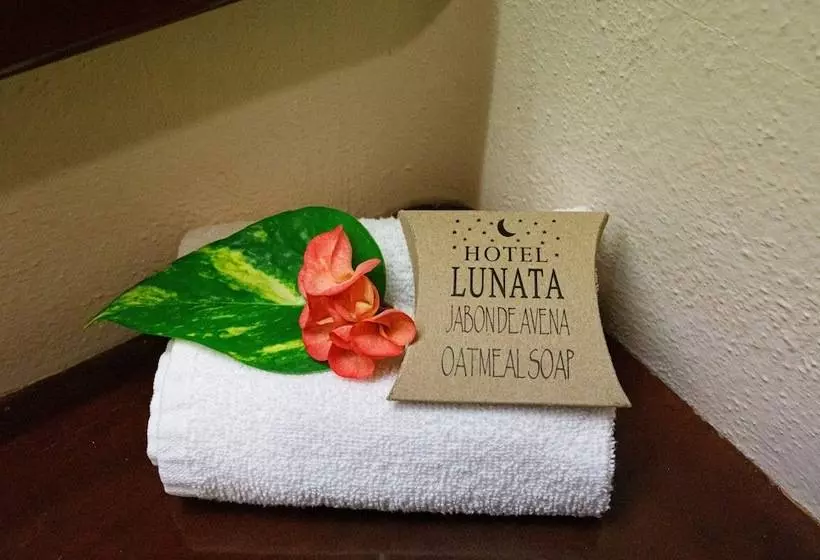 Fotos del hotel Lunata  5th Avenue:  22