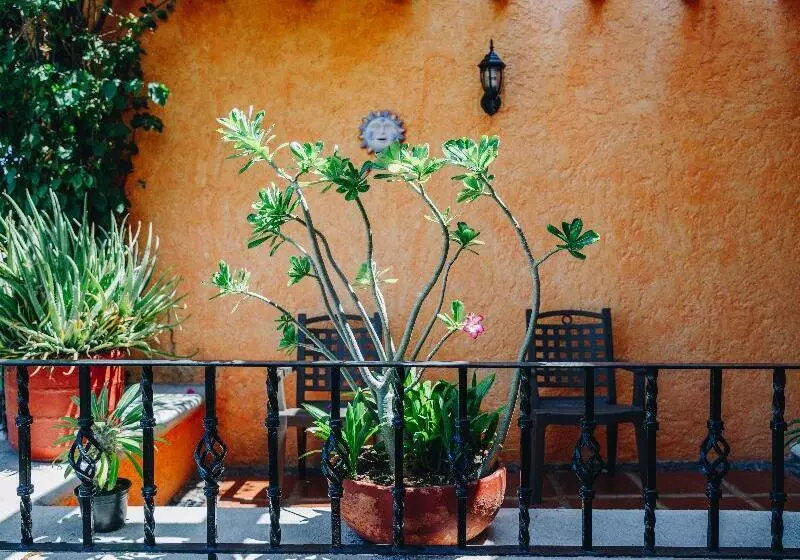 Fotos del hotel Lunata  5th Avenue:  18