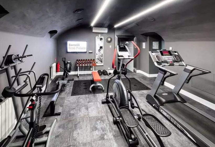 Fotos del hotel Barceló Brno Palace:  13