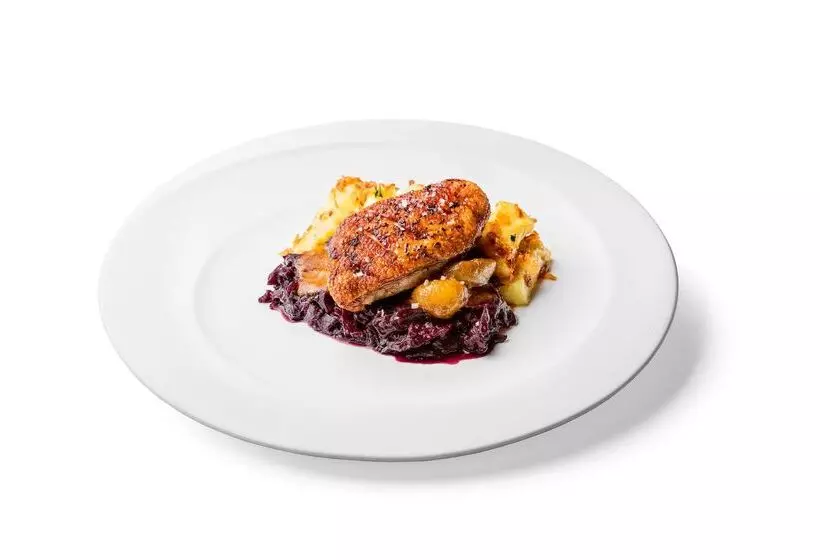 Fotos del hotel Barceló Brno Palace:  16