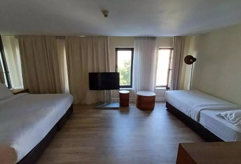 Fotos del hotel Miapera:  21