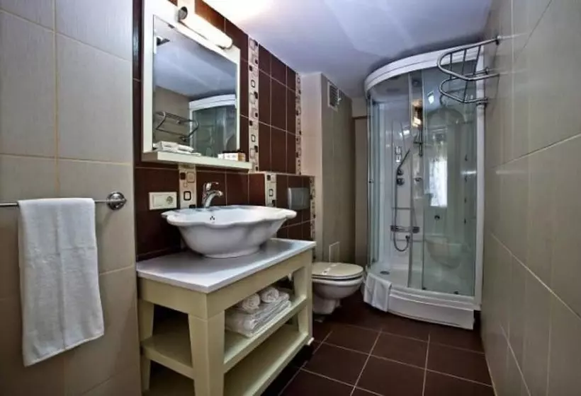 Fotos del hotel Q  Laleli:  5