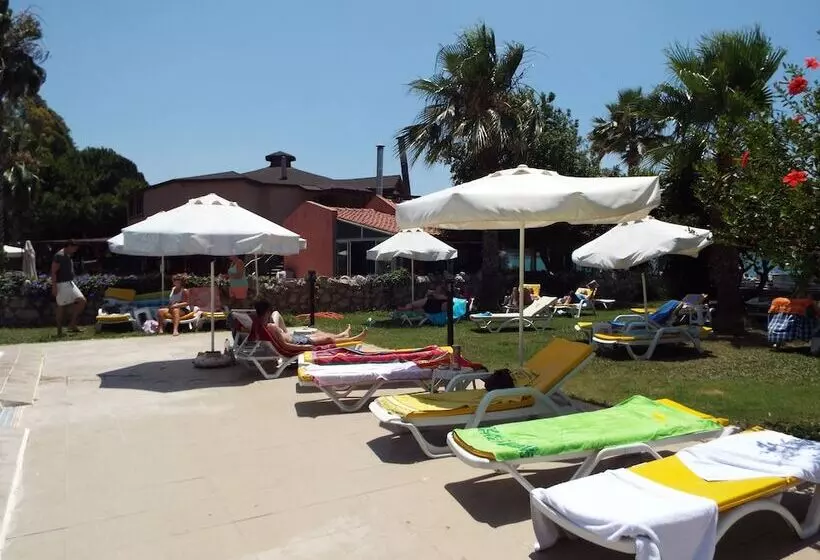 Fotos del hotel Area:  11