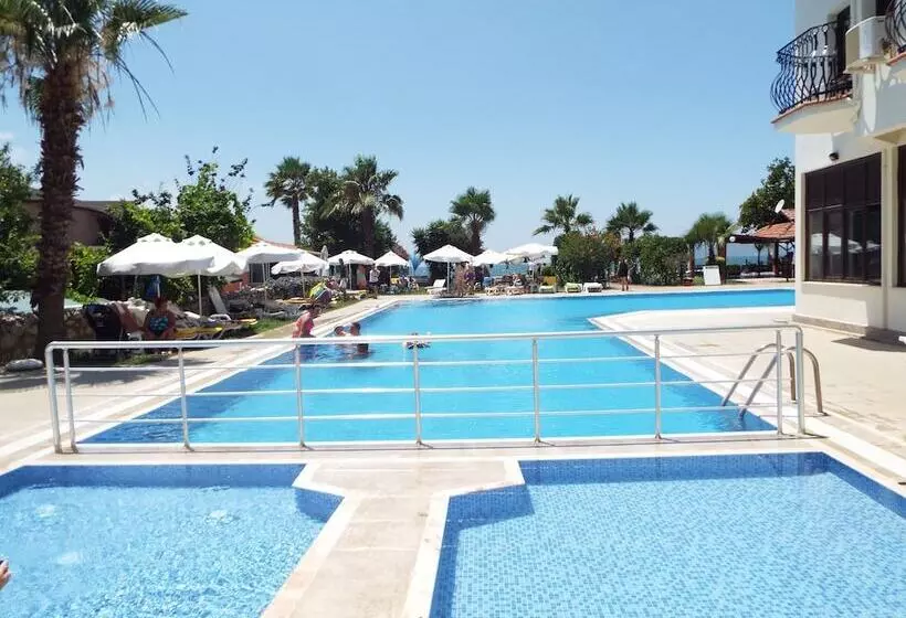 Fotos del hotel Area:  9