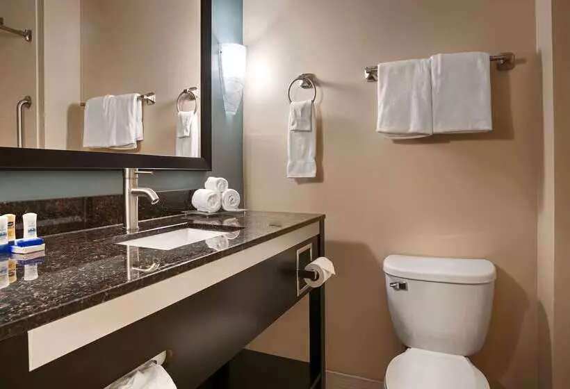 Fotos del hotel Best Western Plus Jfk Inn And Suites:  8