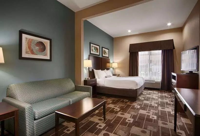 Fotos del hotel Best Western Plus Jfk Inn And Suites:  20